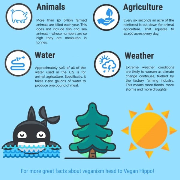 Infographic with statistics on animals, agriculture, water, and weather related to veganism.